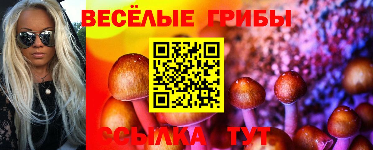 Владимир  Псилоцибиновые грибы Cubensis  Вход с VPN 