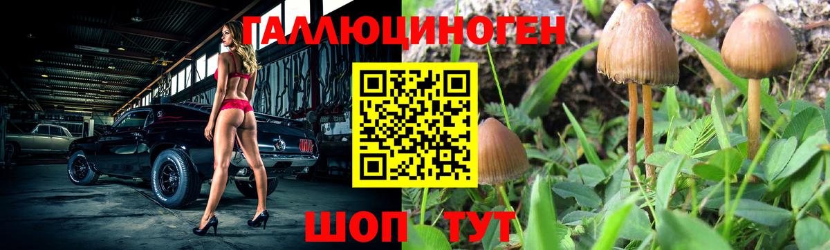 Псилоцибиновые грибы мицелий Владимир